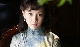 陈数演的电视剧